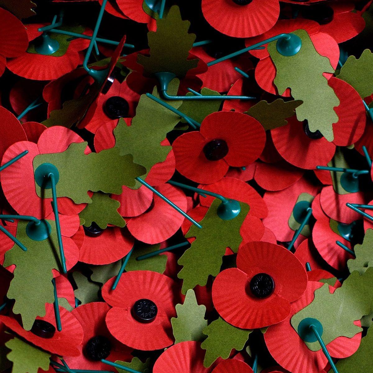 annual-poppy-appeal-hadlow-down